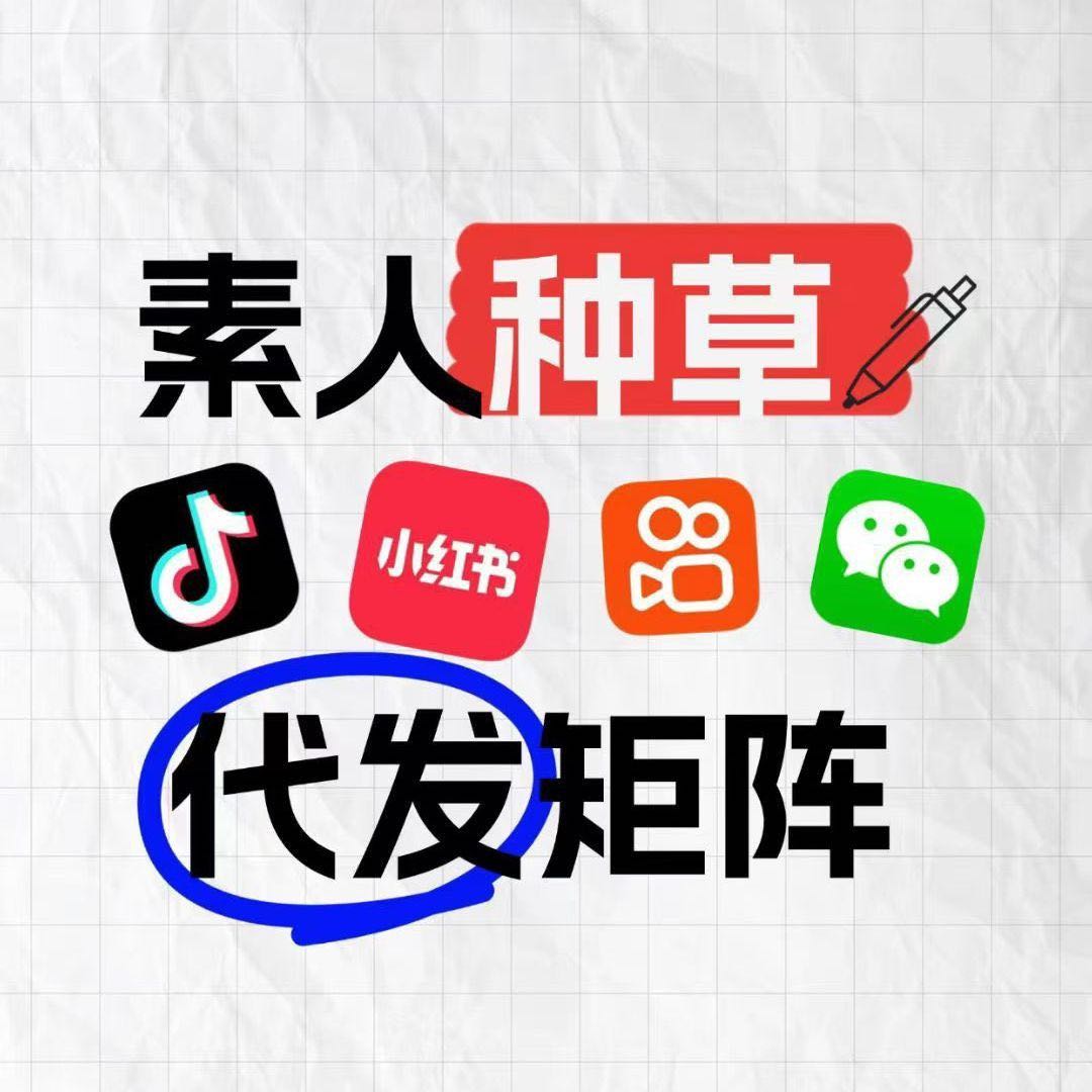 张先生乙方信息流量服务矩阵，多平台素人种草代发