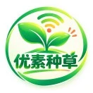 王先生