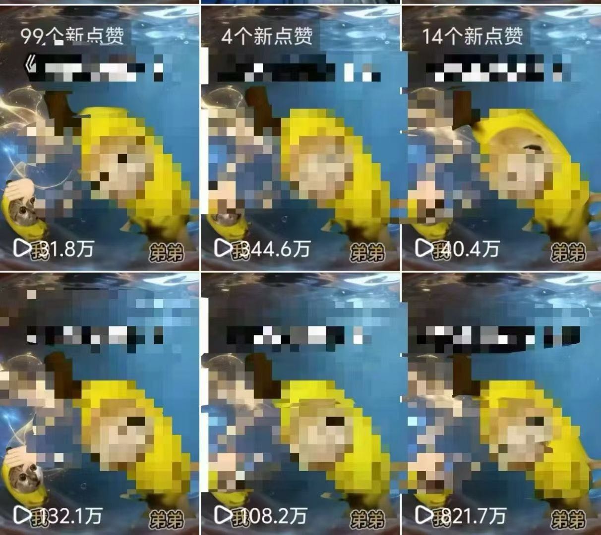 李女士提供小说配音推广项目，零粉丝可做，一对一教学，长期收益稳定