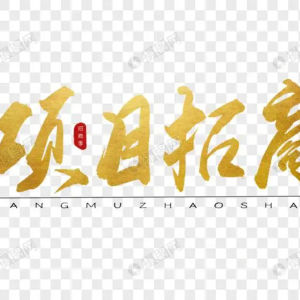 权先生