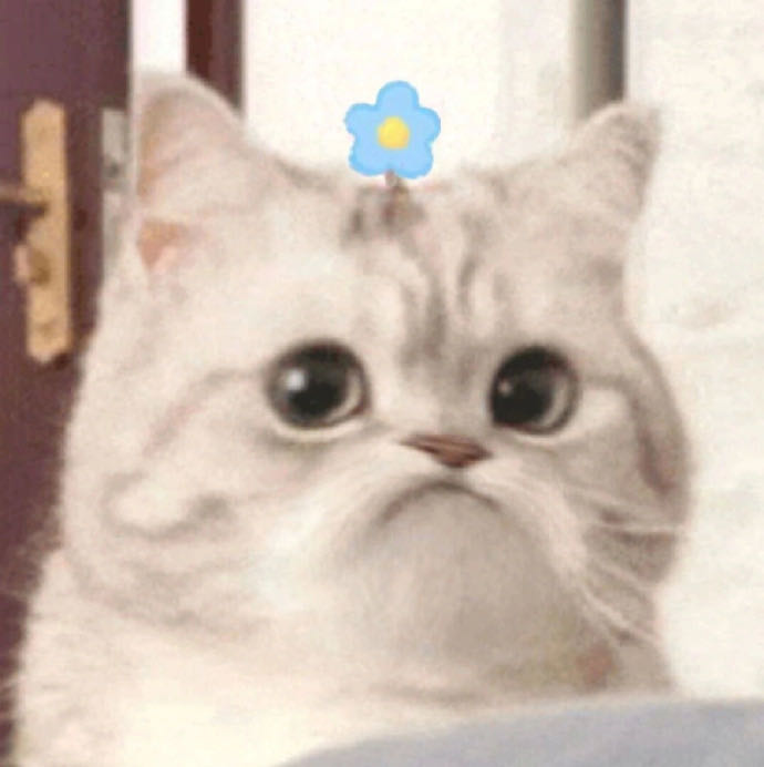 敬先生