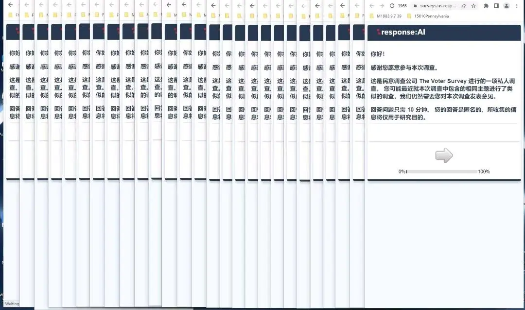张先生其他供需海外问卷掘金项目