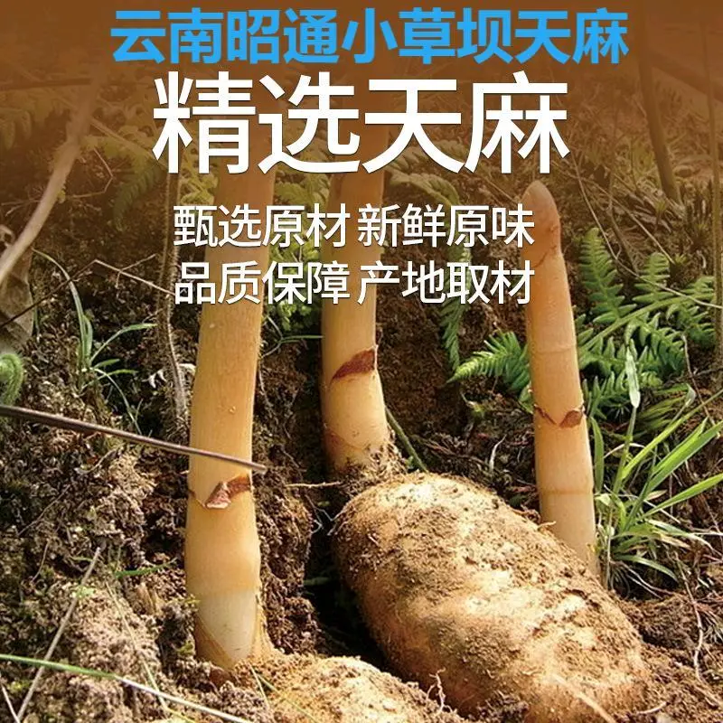 陈先生云南天麻原浆生产厂