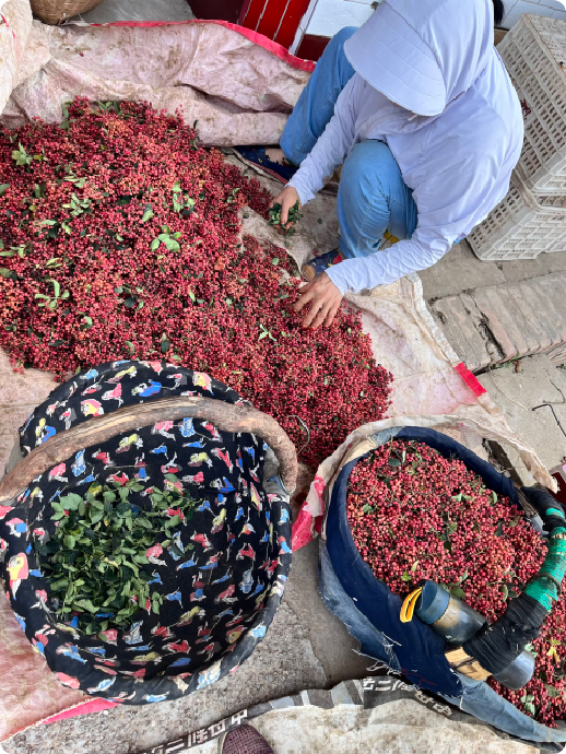 谢亚飞品牌货源自家产地,正宗韩城大红袍花椒,产地批发价,量大从优