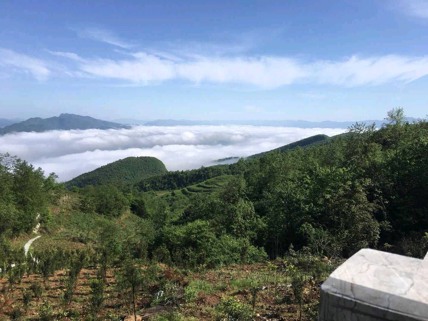 熊烝煦场地活动