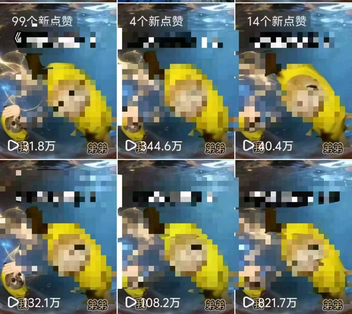 来女士找合伙人小说推文项目，绿色稳定，独立后
台，日结。时间自由，操作简单