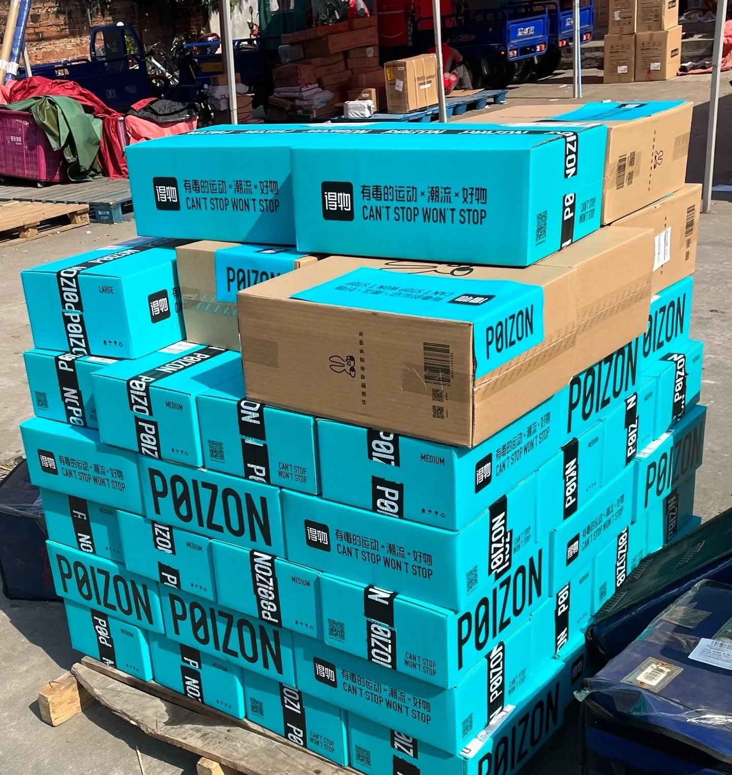 李女士其他供需