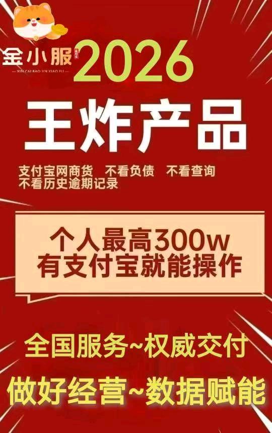 石飞其他供需
支付宝备用金