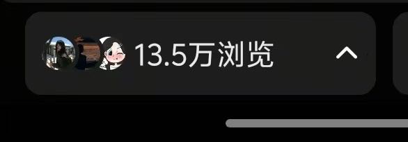 李玉珊找合伙人