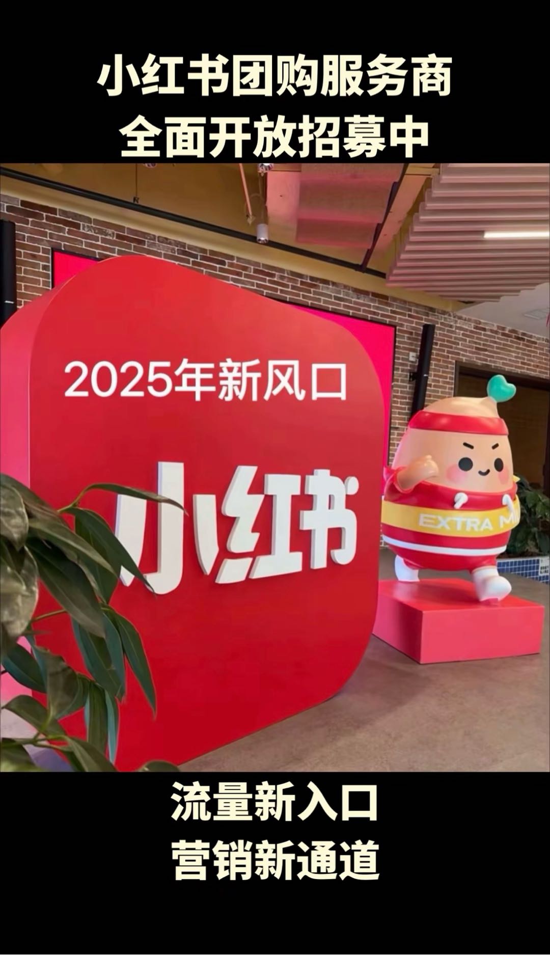 毛守辉地推项目小红书