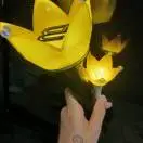 邓明亮