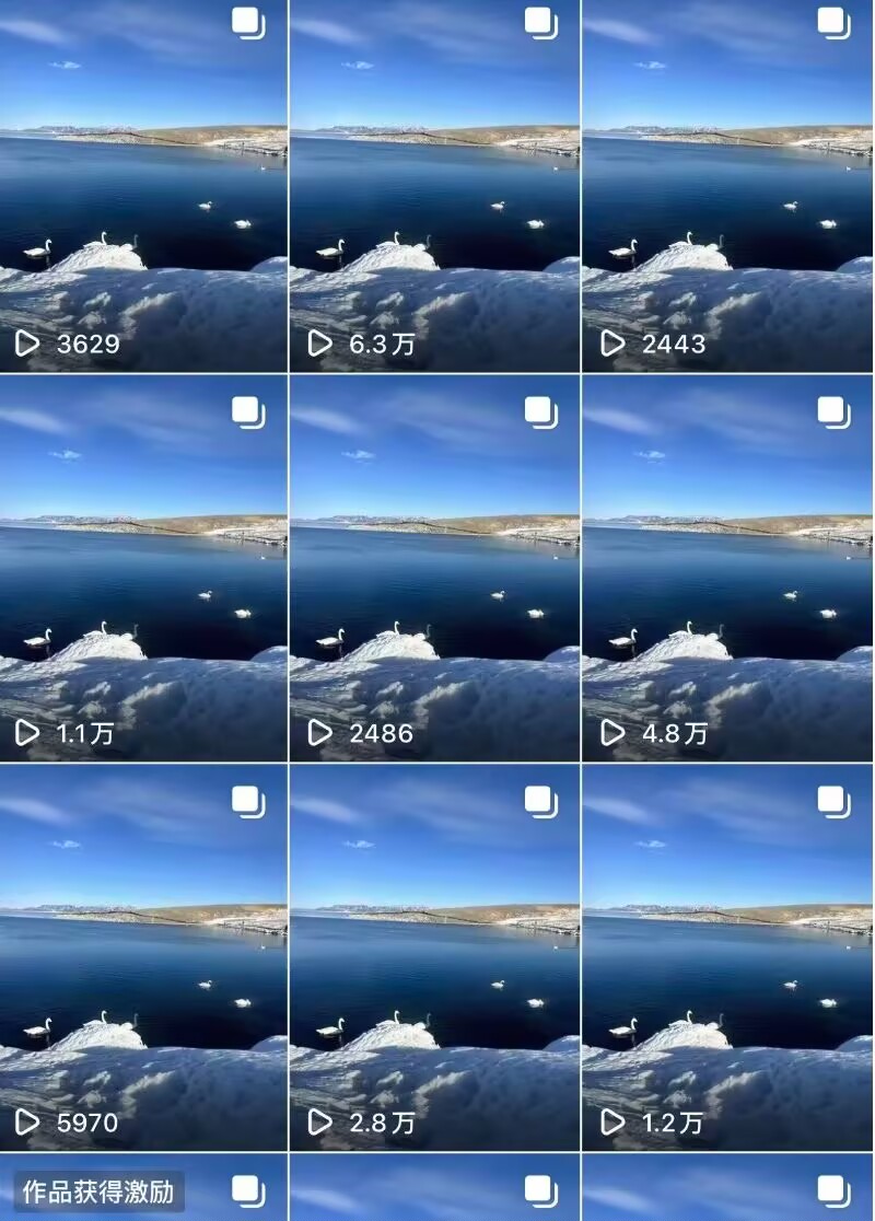 蔡先生其他供需小说推文，绿色正规项目*复制粘贴，一部手机即可做，简单好上手!