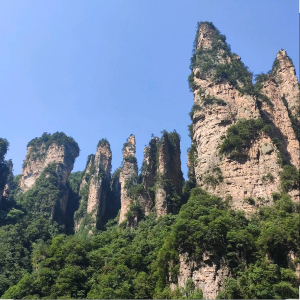 u客直谈实名认证杨先生