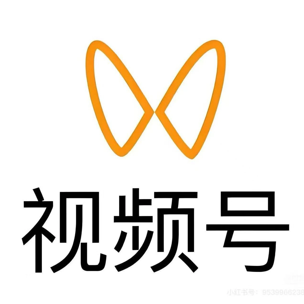 王先生