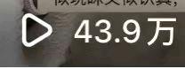 韦东园其他供需小说推文项目，绿色稳定，独立后台，日结。时间自由，操作简单，可矩阵放大