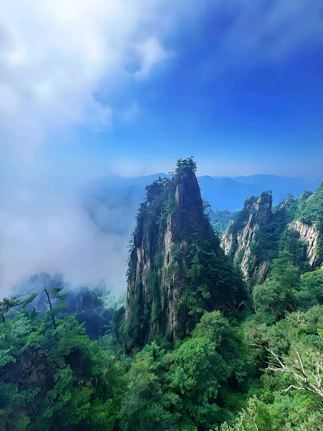 何小辉
