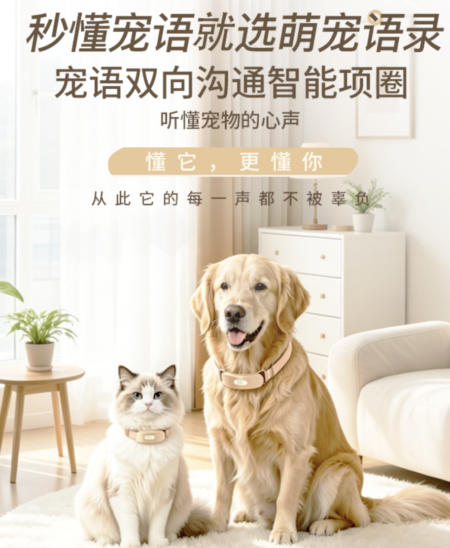 周先生地推项目推广AI智能人宠智能交流项圈，共享管道收益