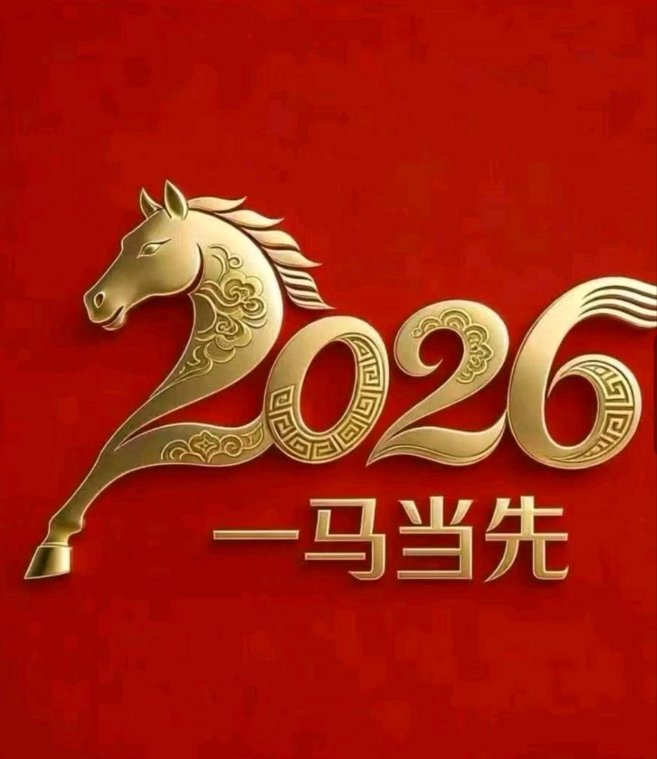杨金辉找合伙人拼多多店铺，日结兼职，你赚到钱分我一成你拿9成，需成年