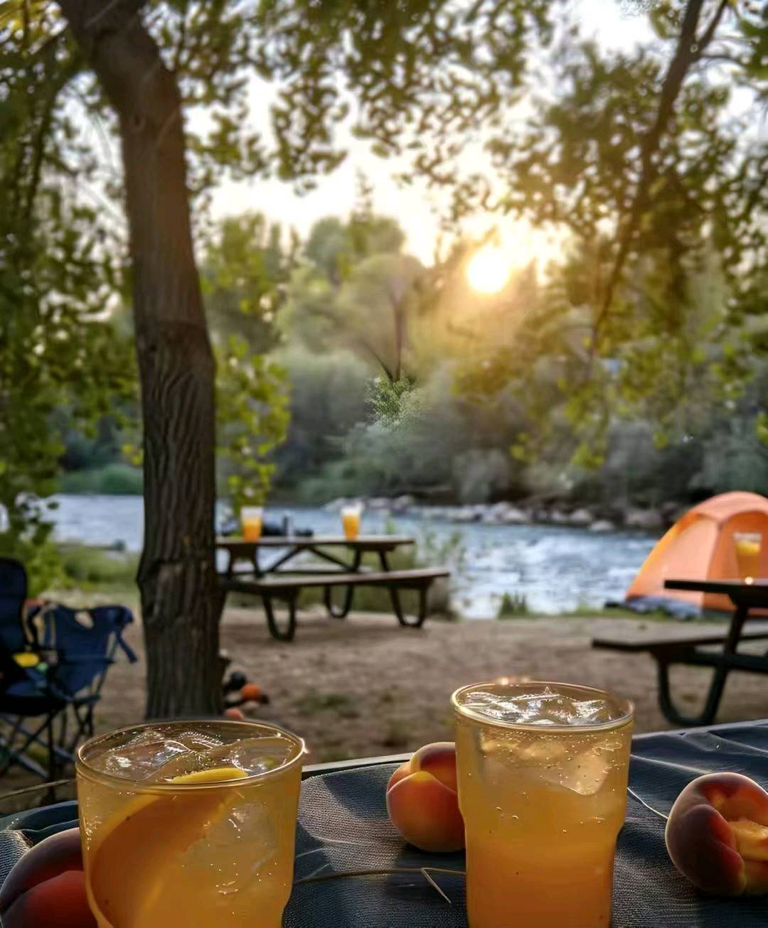 王先生其他供需适合普通人长期做的,试药员推广项目,一单赚1000*