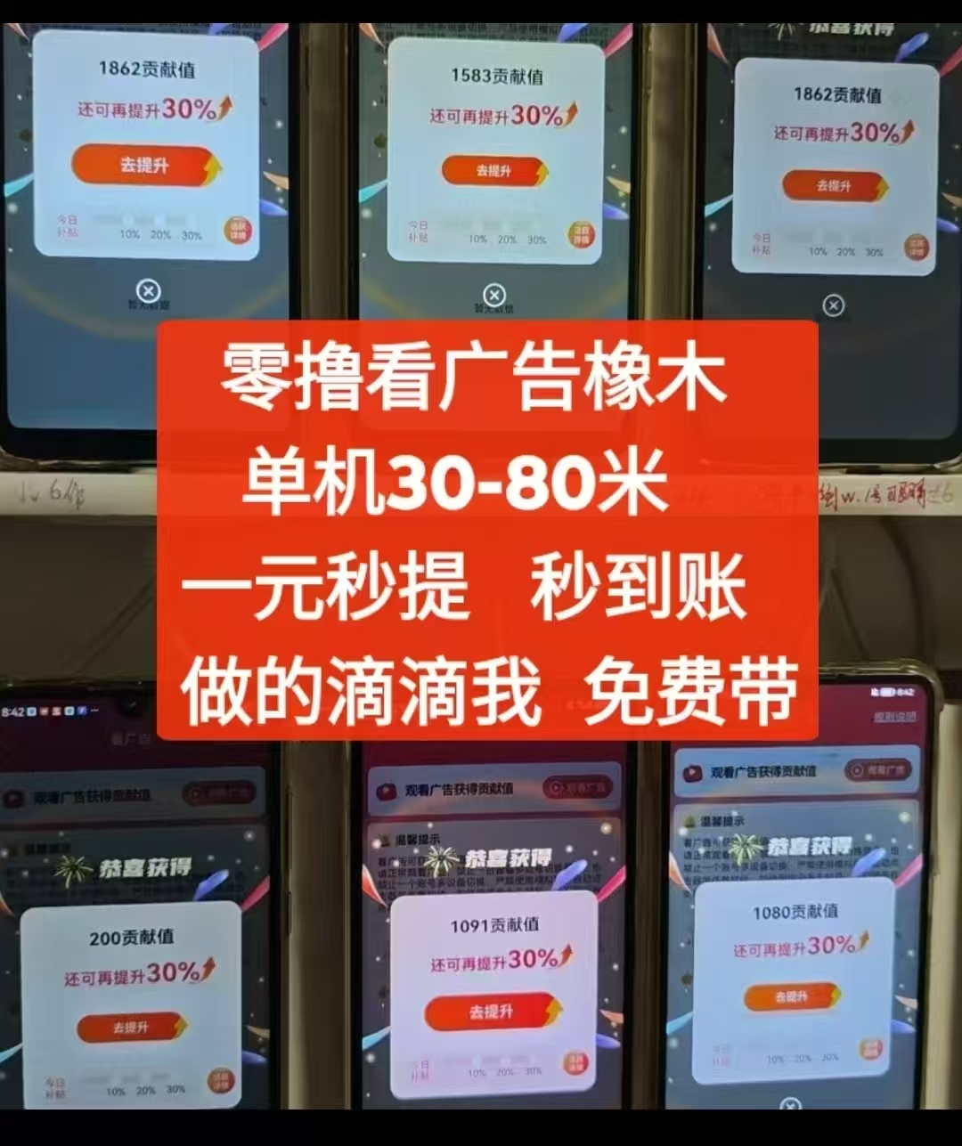 王英英找合伙人看广告赚米