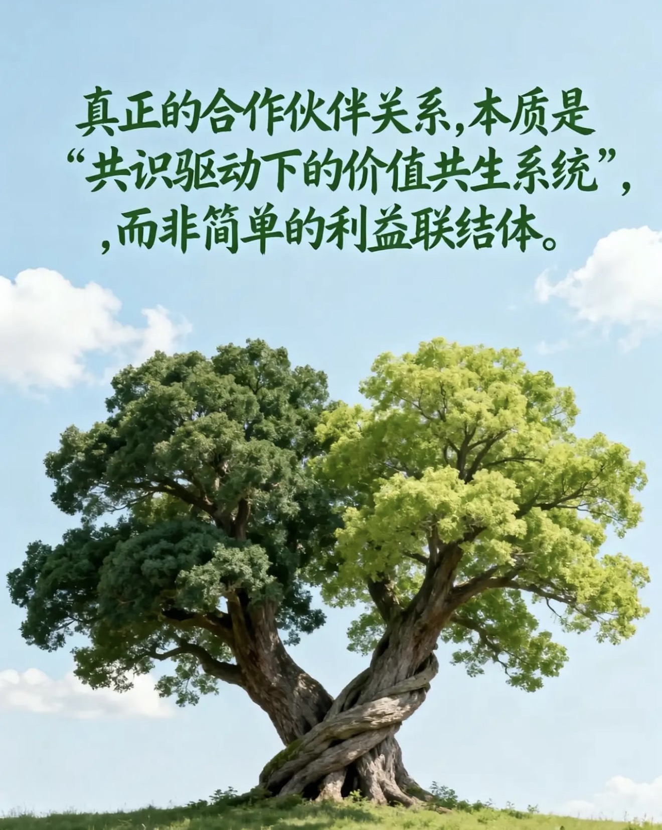 郝先生其他供需