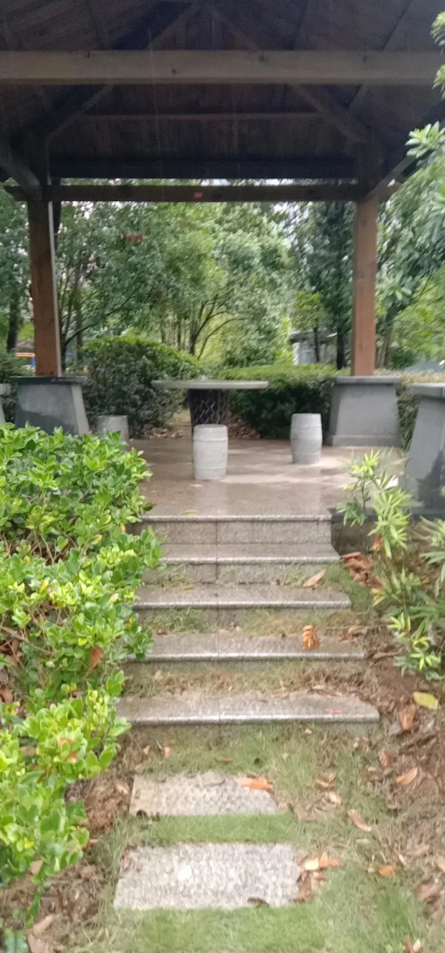 刘楚泉