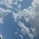 杨龙飞