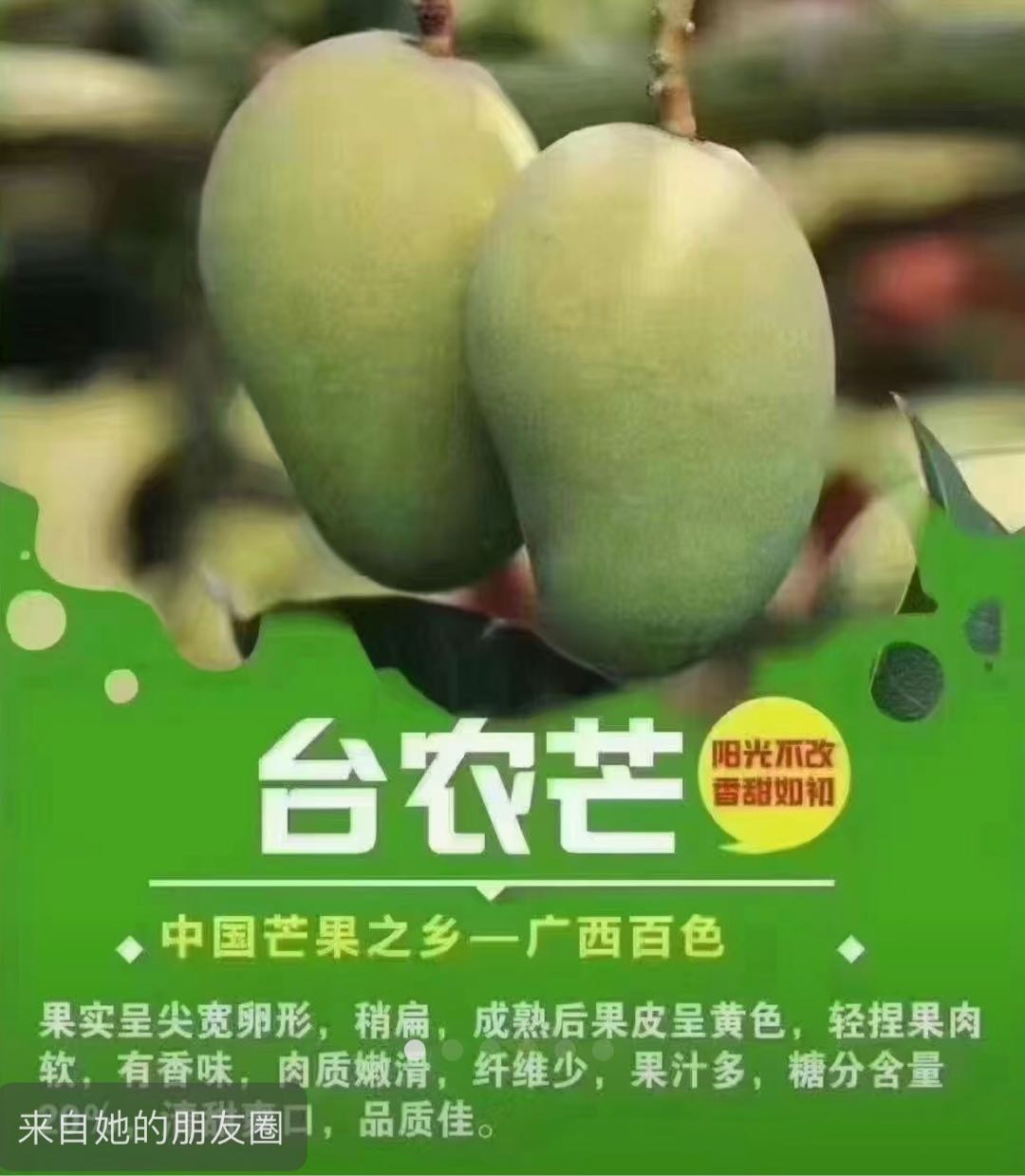 罗女士品牌货源百色芒果6月上市，直播带货代理分销，资质齐全，一件代发