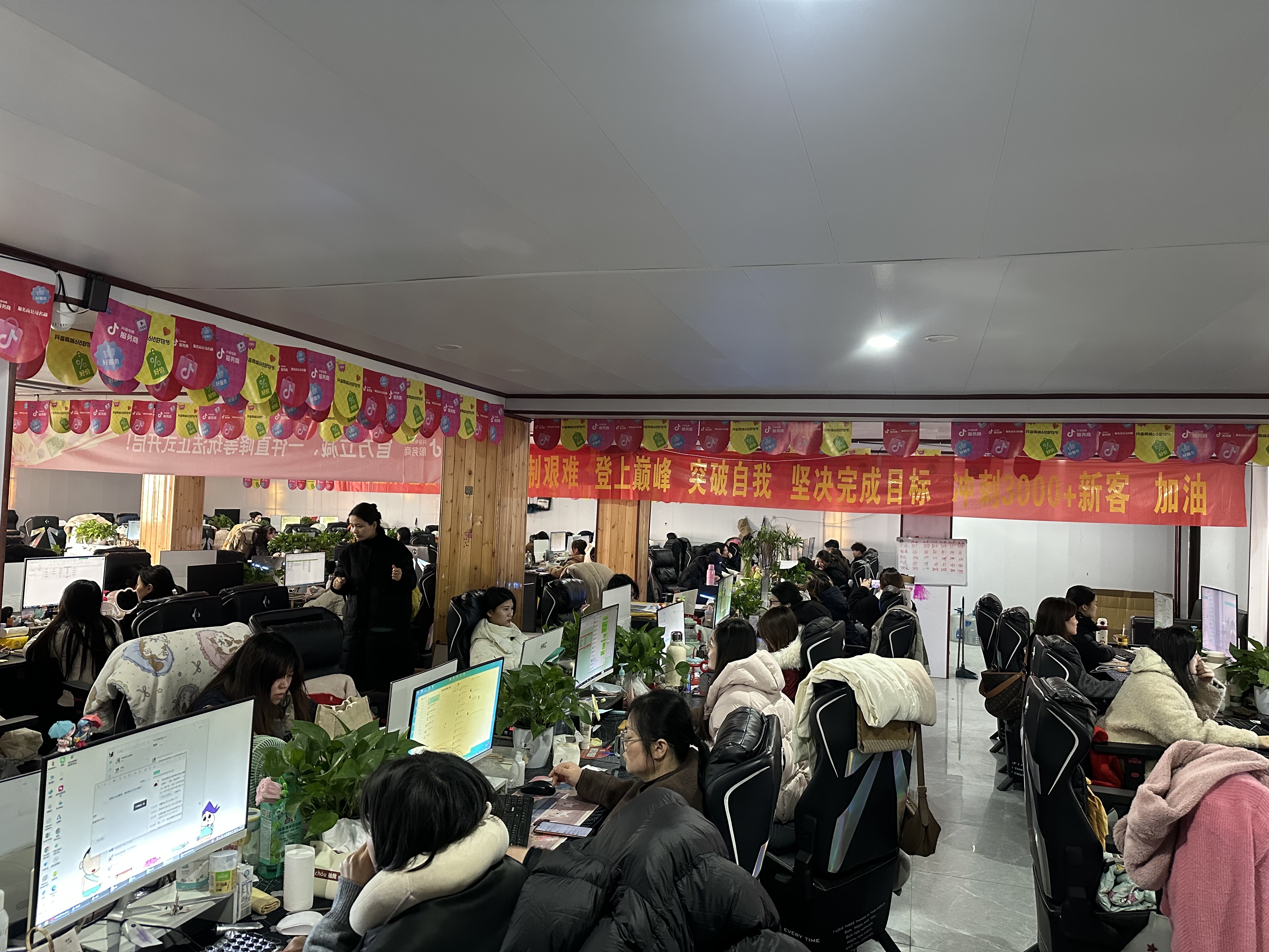 徐乐乐柯登客服外包，一台电脑能收*，人越多越挣米