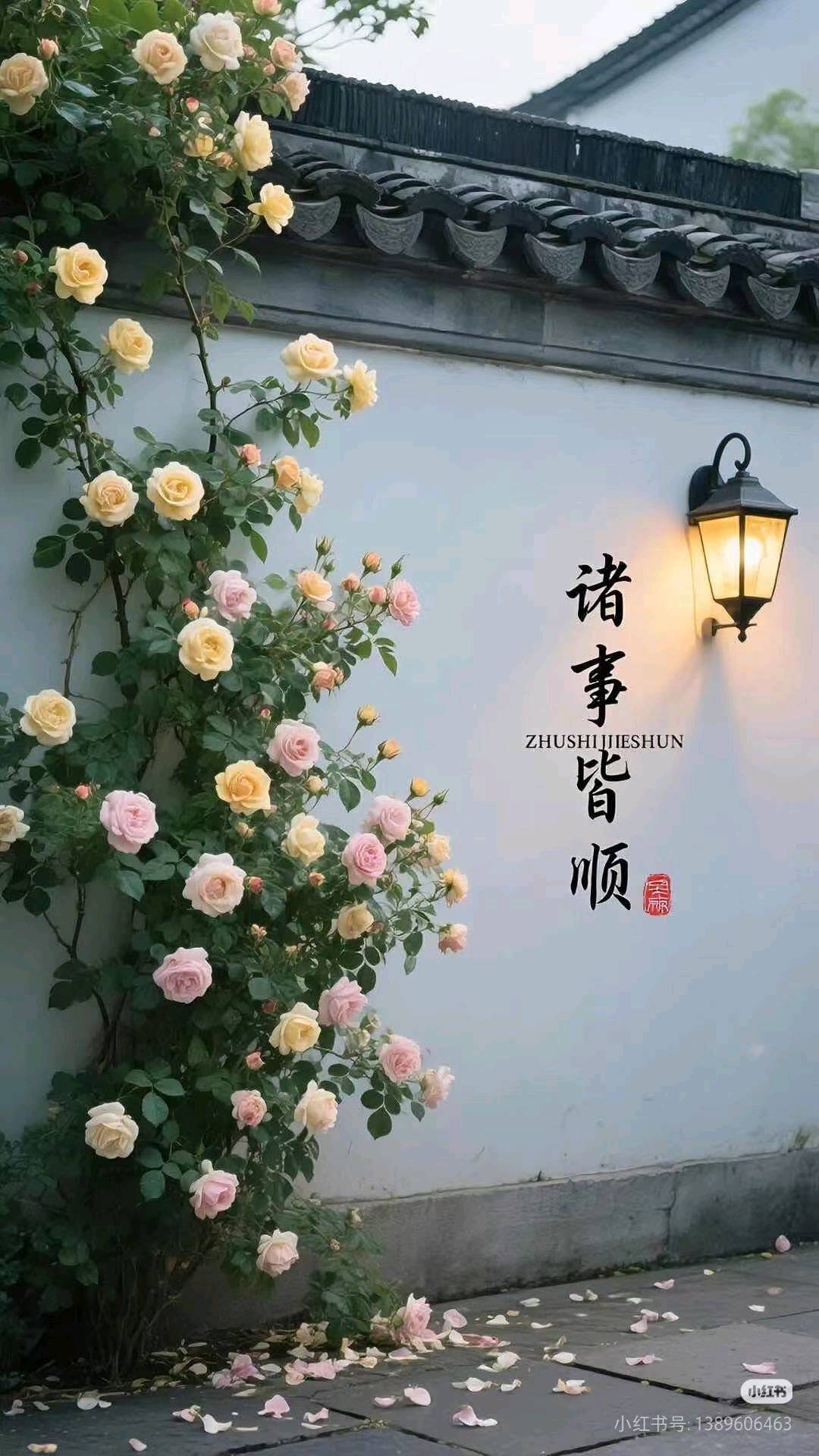 余先生找合伙人寻找有实力的搬砖合伙人