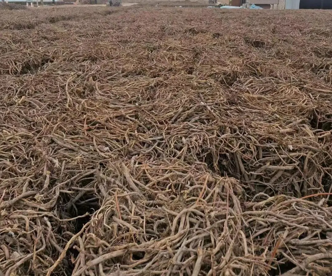 阿先生新疆甘草