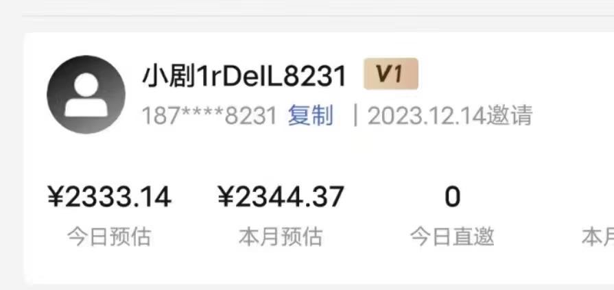 王先生找合伙人短剧推广项目