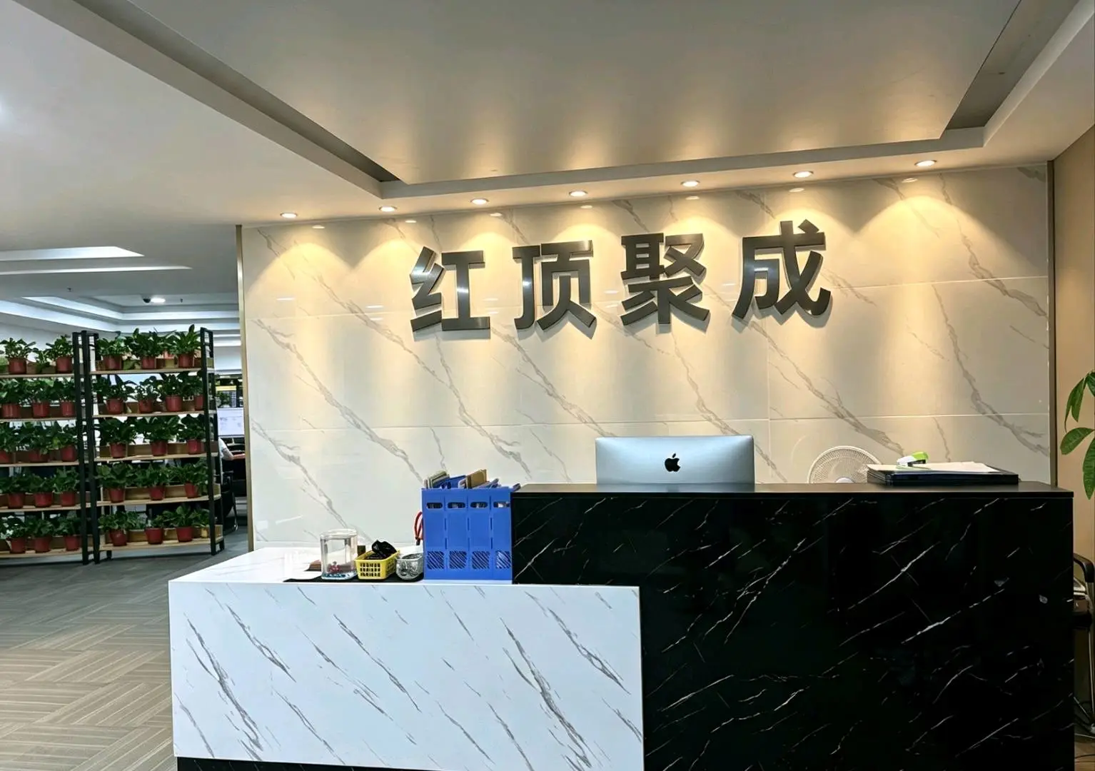 董女士