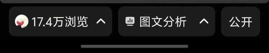 赵锦怡找合伙人手机就能操作的小说推文副业，保姆级陪跑
