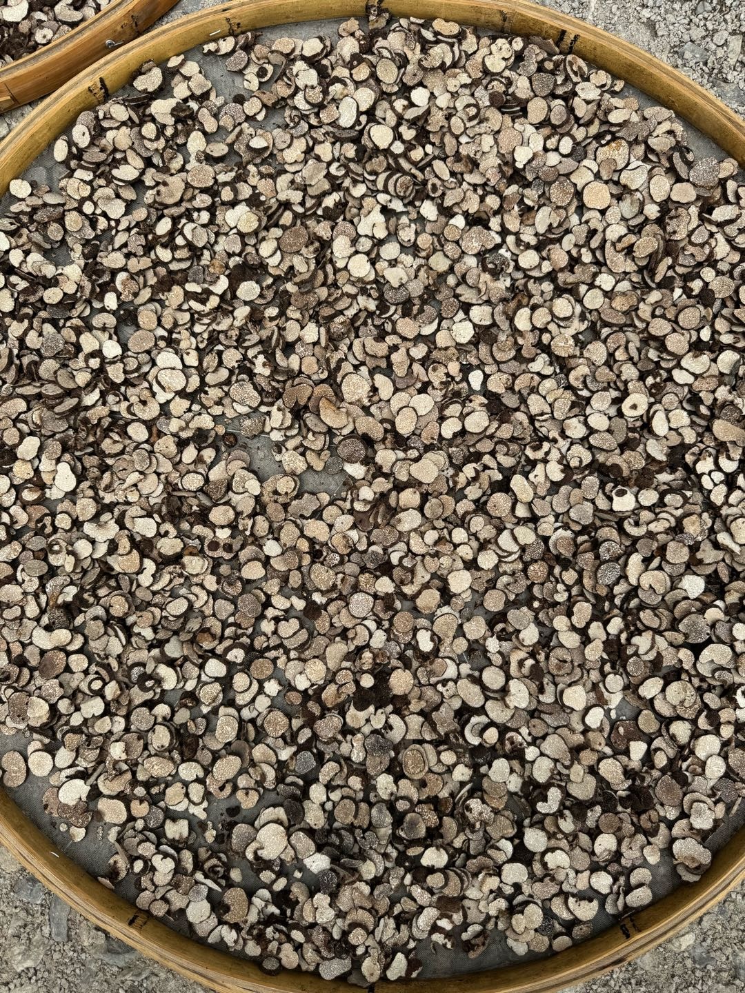 郭洲驿黑松露源头厂家 找优质甲方