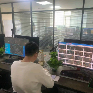 贾百卉
