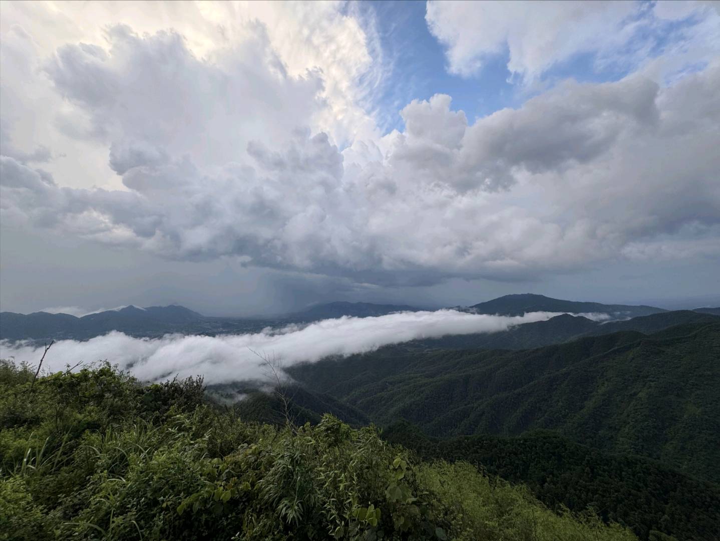 董先生找合伙人提供免费游戏项目,我出技术你出设备,收以后分润
