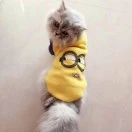 蔡先生