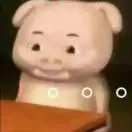 王可风