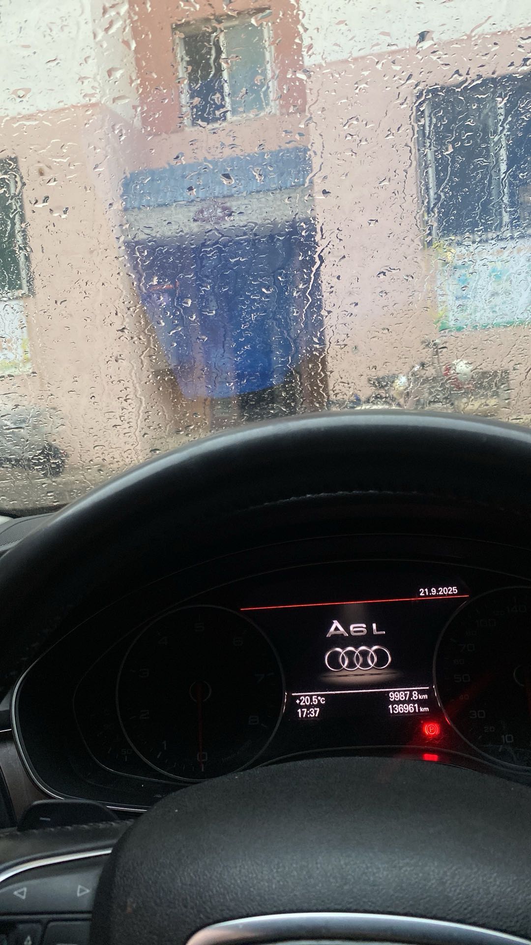 王先生找合伙人特色鹦鹉养殖找合伙人，寄养模式，可实地考察