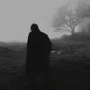 魏若桐