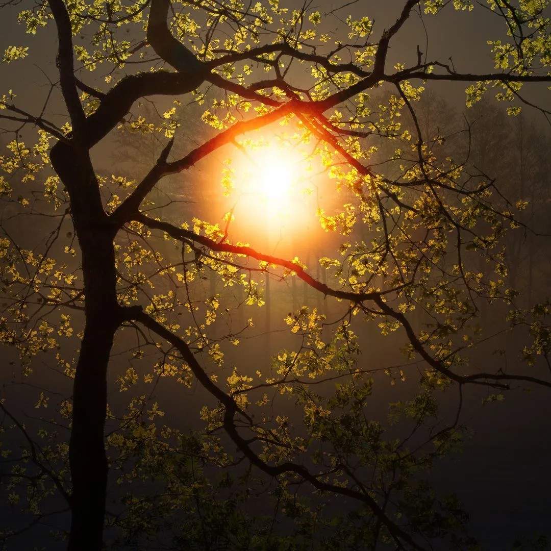 u客直谈实名认证吴先生