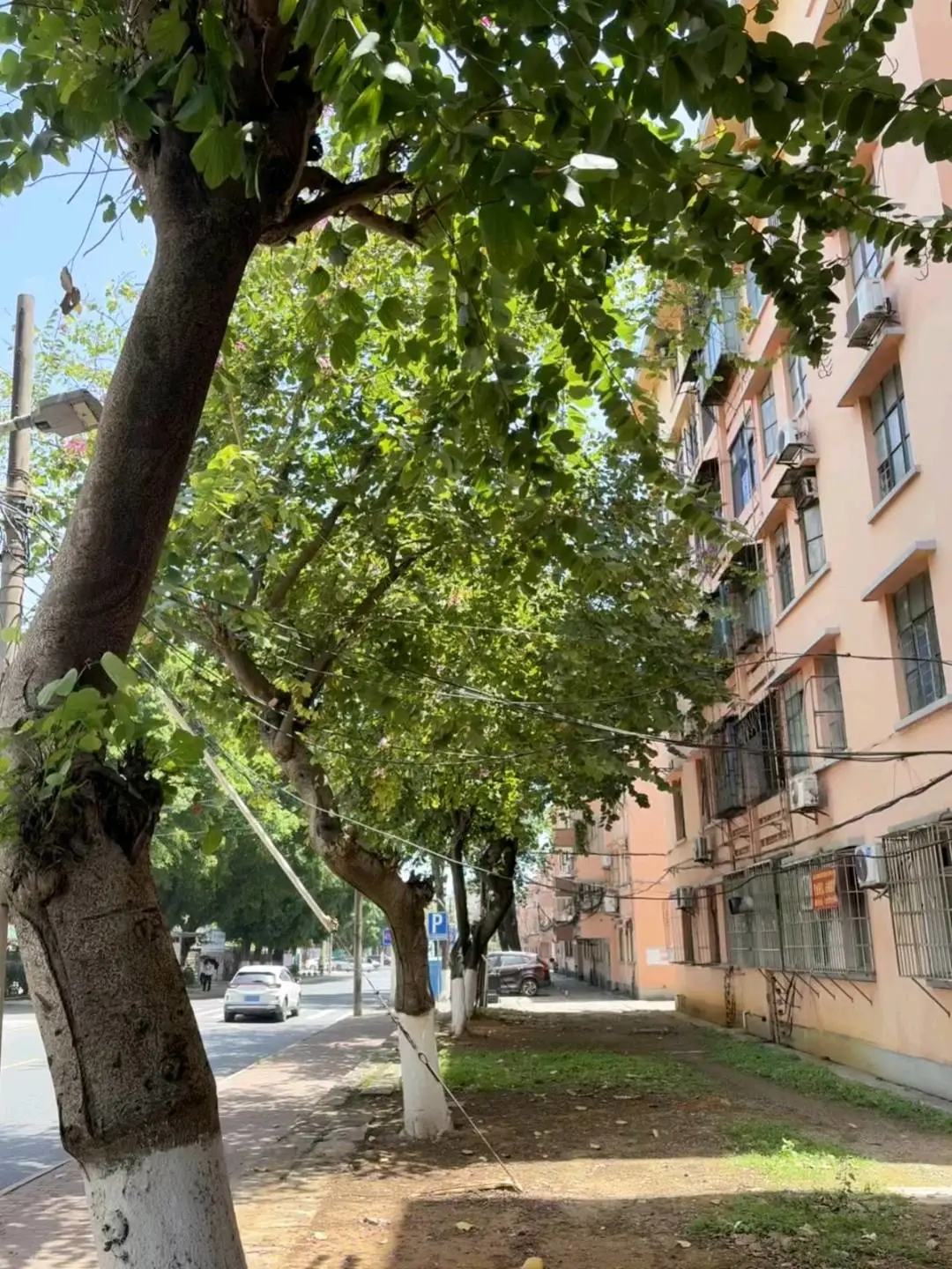 u客直谈实名认证邓先生