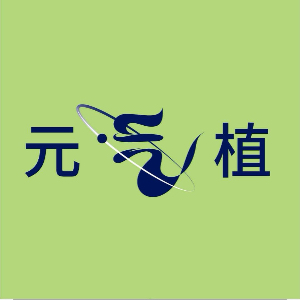 祁先生