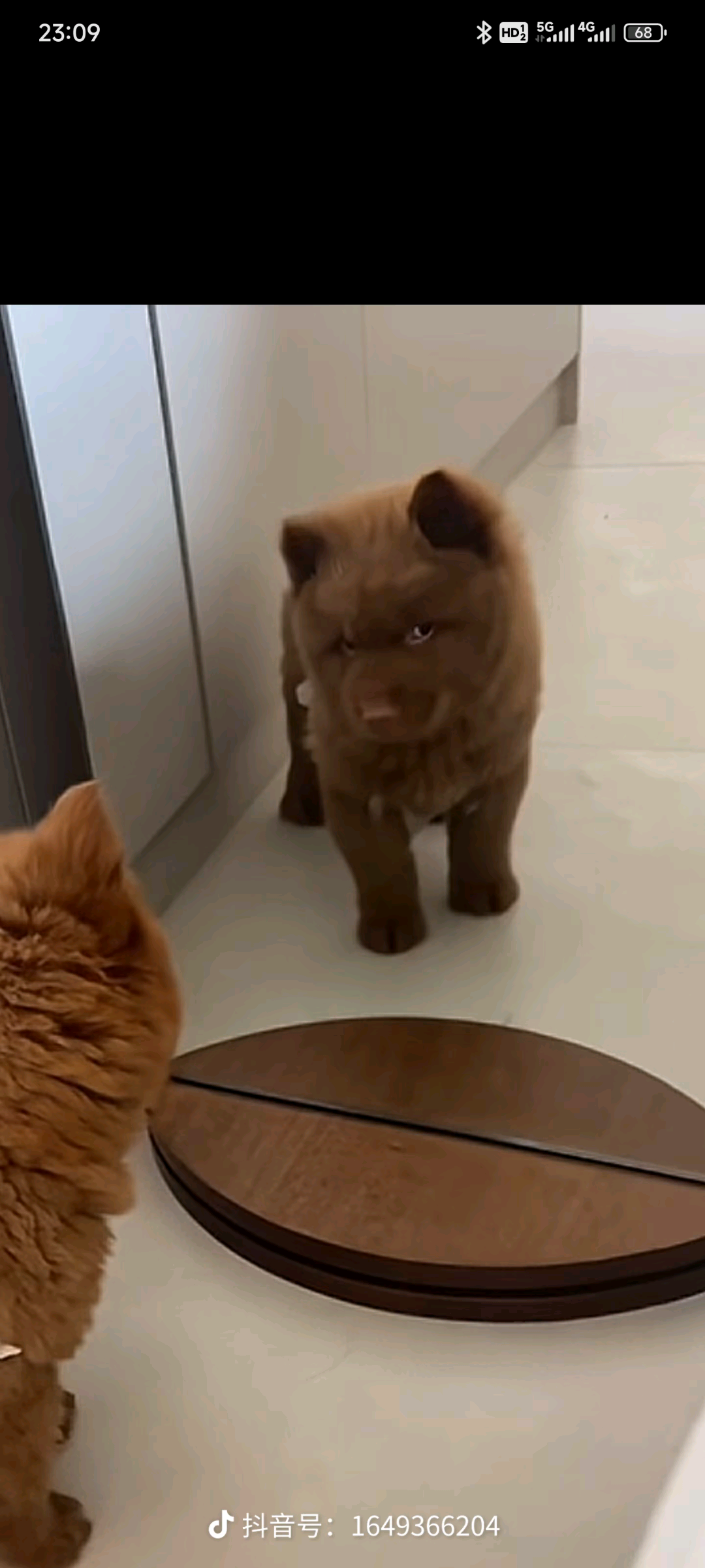 王先生其他供需蚂蚁阿福拉新用户