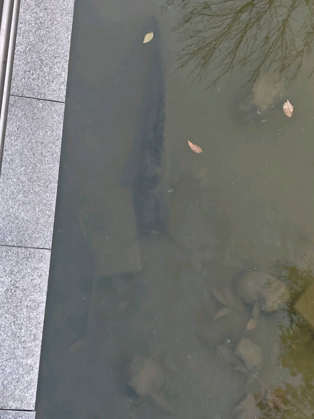 王先生其他供需每天打卡几分钟就能赚钱的项目，简单省事易上手