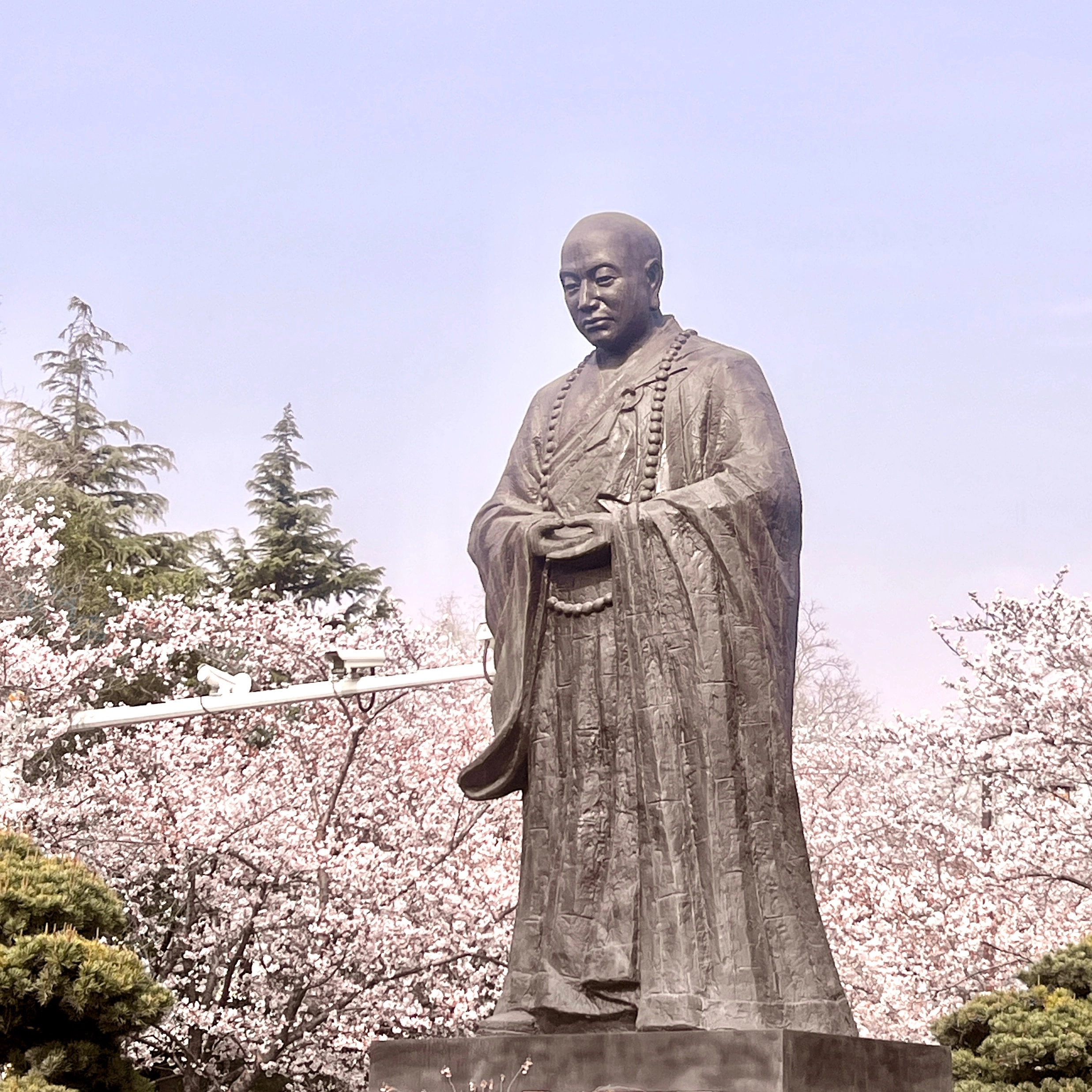 薛先生