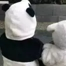 高一上