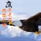 u客直谈实名认证谢先生