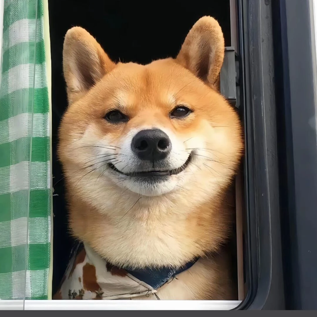 曹先生